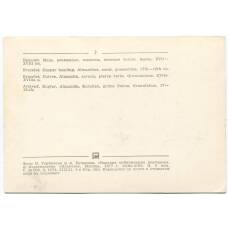 Открытка Браслет.Медь,альмандин,кораллы,зеленые камни.Зернь XVII-XVIII век (вид 2)