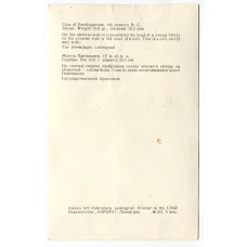 Открытка Монета Пантикапея IV до н.э. (вид 2)