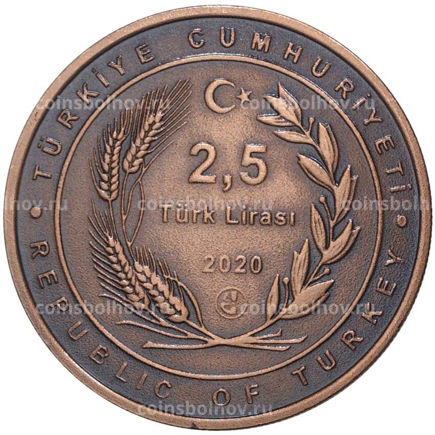 Монета 2.5 лиры 2020 года Турция —  100 лет Агентству «Анадолу» (вид 2)