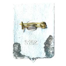 Значок Боровичи (вид 2)