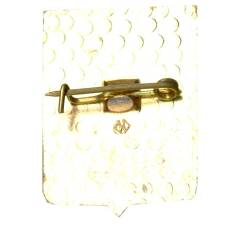 Значок Владимир (вид 2)