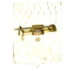 Значок Владимир (вид 2)