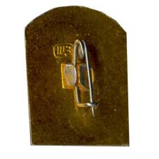 Значок Коломенское (вид 2)