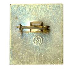 Значок Владимир (вид 2)