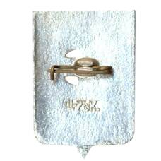 Значок Новгород (вид 2)