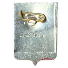 Значок Старая Русса (вид 2)