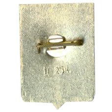 Значок Демянск (вид 2)