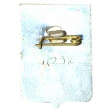 Значок Боровичи (вид 2)