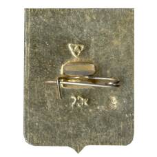 Значок Судогда (вид 2)