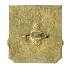 Значок Владимир (вид 2)