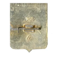 Значок Муром (вид 2)