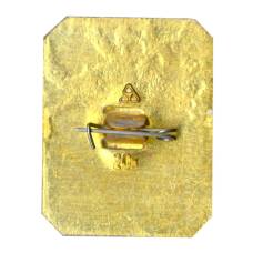 Значок Владимир (вид 2)