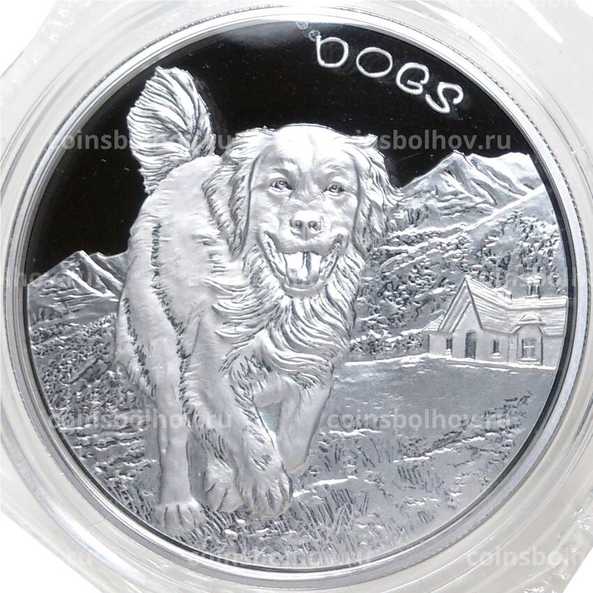 Монета 50 центов 2022 года Фиджи —  Собаки