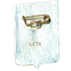 Значок Белозерск (вид 2)