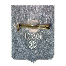 Значок Новосибирск (вид 2)