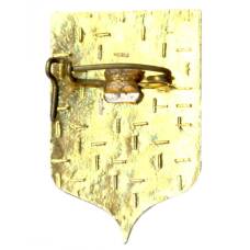 Значок Киров (вид 2)