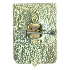 Значок Новосибирск (вид 2)