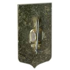 Значок Пенза (вид 2)