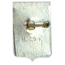 Значок Валдай (вид 2)