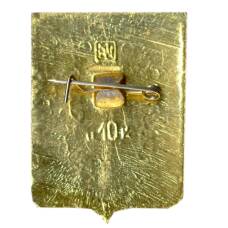 Значок Острогожск (вид 2)