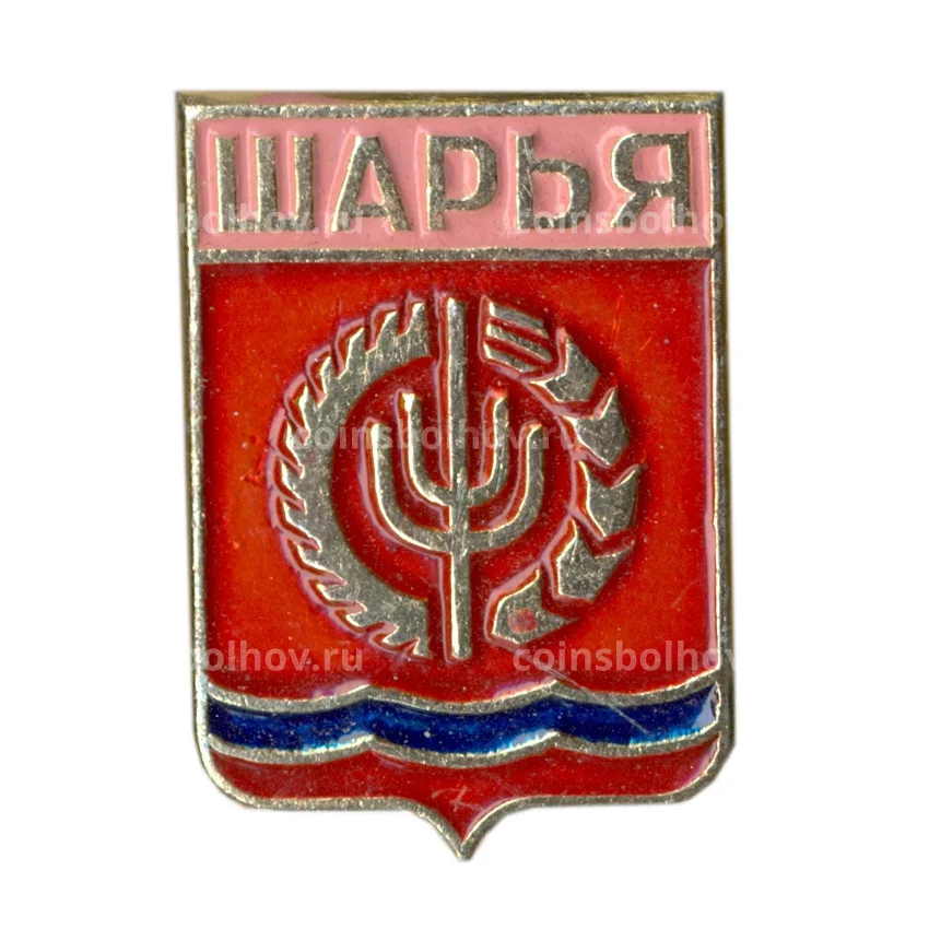 Значок Шарья