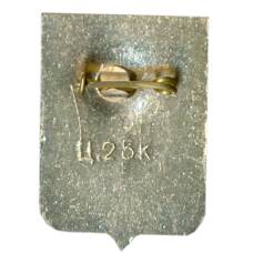 Значок Шарья (вид 2)