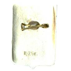 Значок Новгород (вид 2)