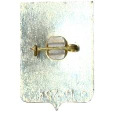 Значок Боровичи (вид 2)