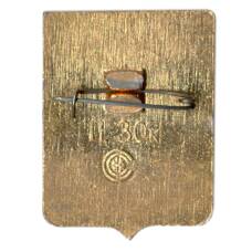 Значок Новосибирск (вид 2)