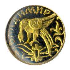 Значок Владимир