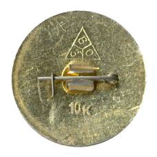 Значок Владимир (вид 2)