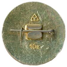 Значок Владимир (вид 2)