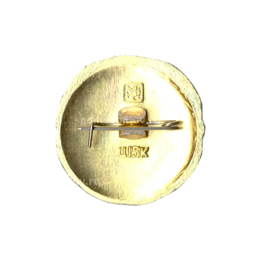 Значок Галич — Золотое кольцо (вид 2)