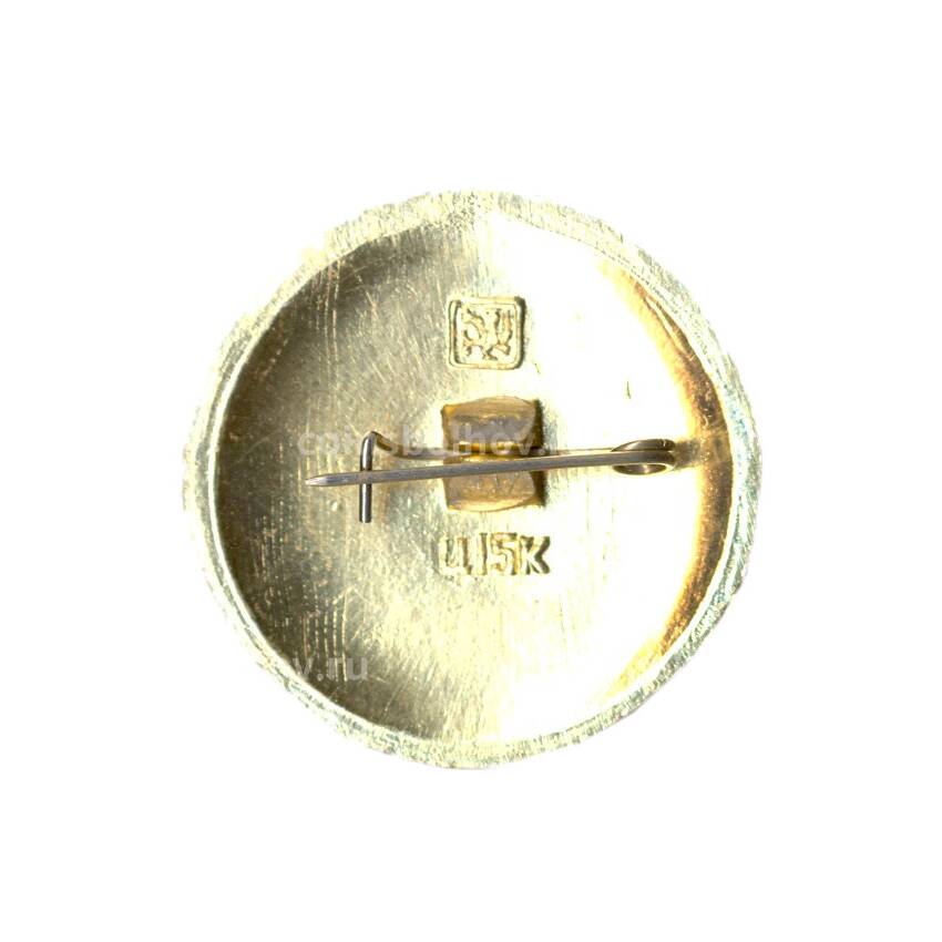 Значок Александров — Золотое кольцо (вид 2)