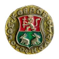 Значок Ковров — Золотое кольцо