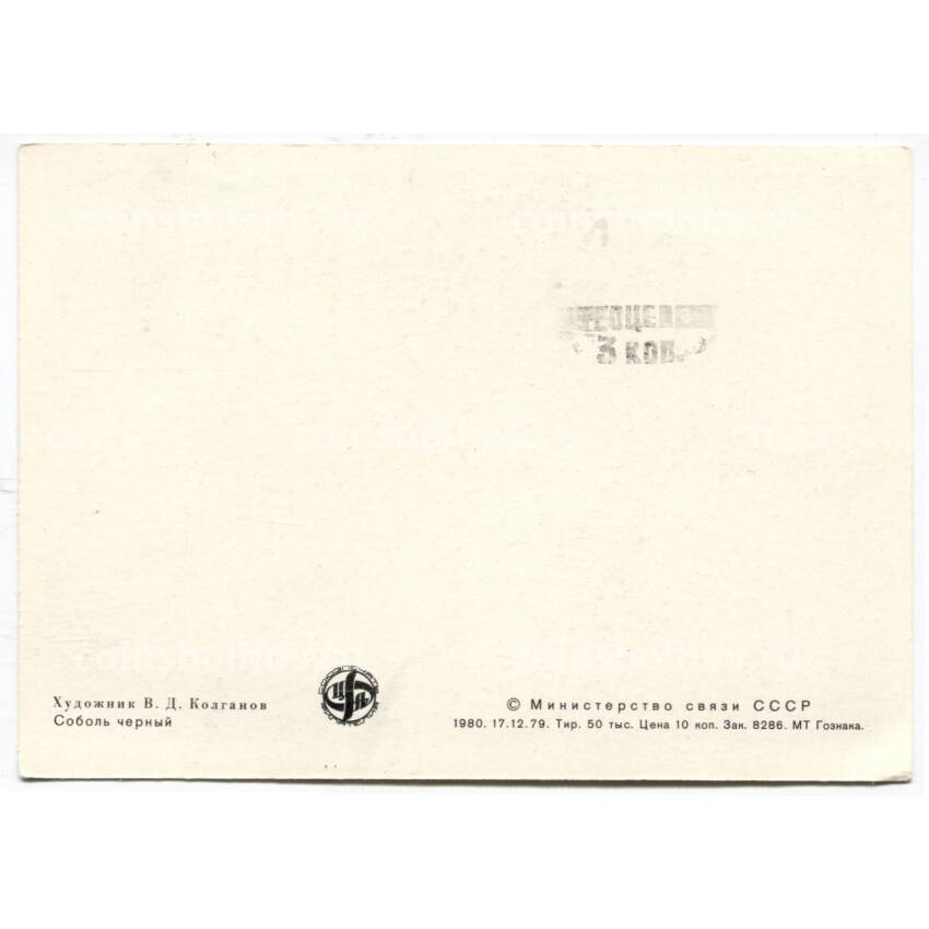 Открытка Соболь черный Художник В.Л.Колганов (вид 2)
