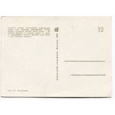 Открытка Садовая славка (вид 2)