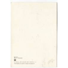 Открытка Кенгуру (вид 2)