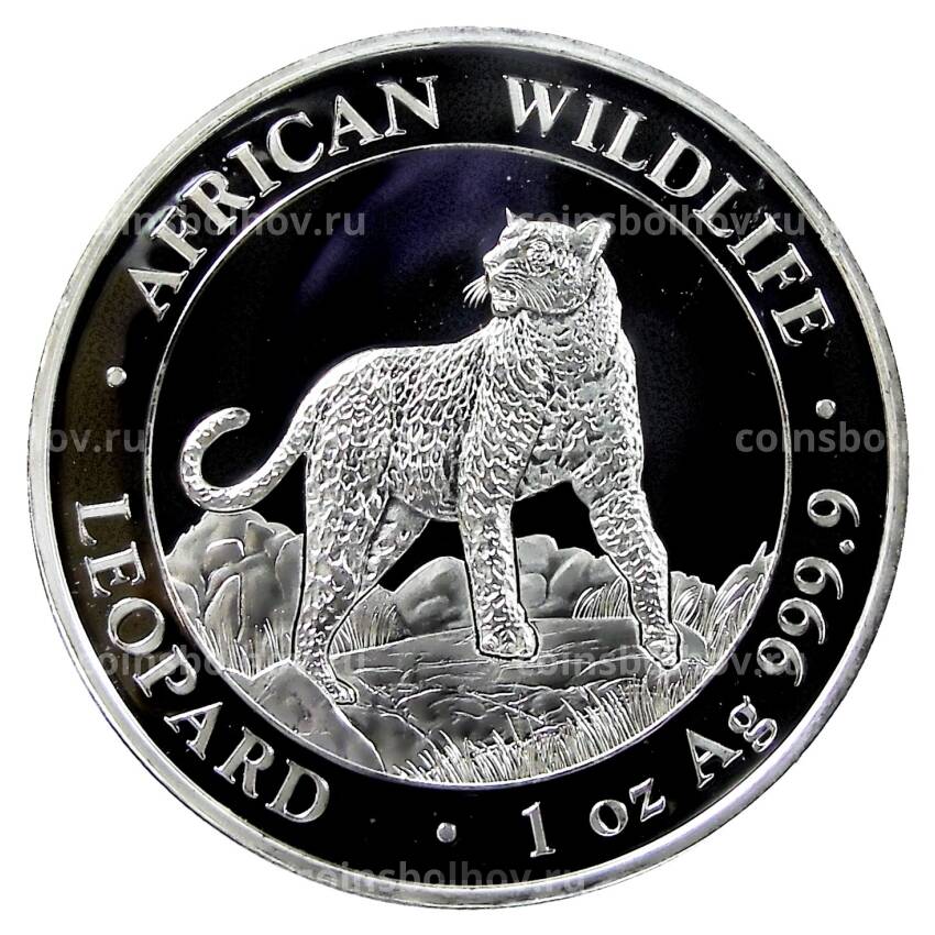 Монета 100 шиллингов 2022 года Сомали Фауна Aфрики —  Леопард