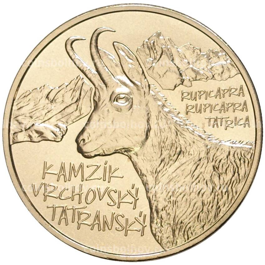 Монета 5 евро 2022 года Словакия — Татранская серна