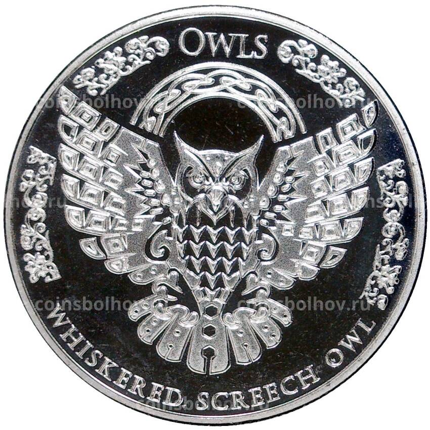 Монета 5 долларов 2022 года Токелау —  Совы — Усатая Визгливая сова