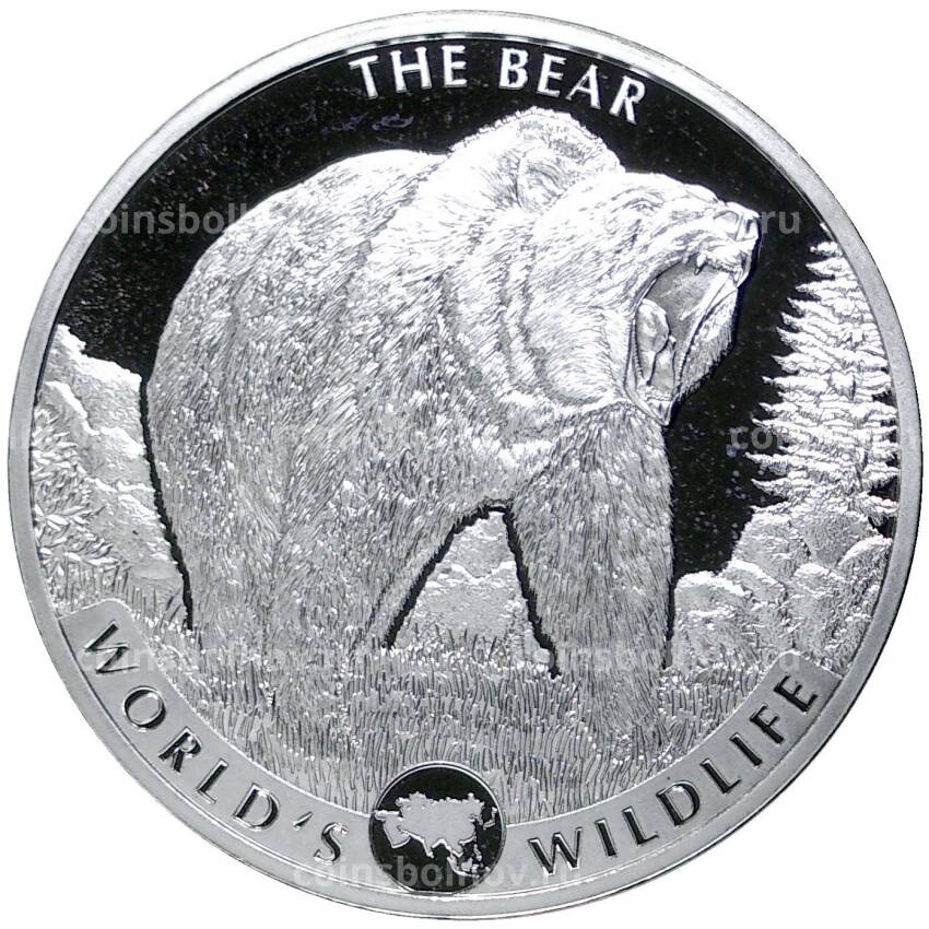 Монета 20 франков 2022 года Конго — Дикая природа мира — Медведь