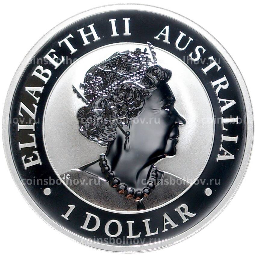 Монета 1 доллар 2022 года Австралия —  Вомбат (вид 2)