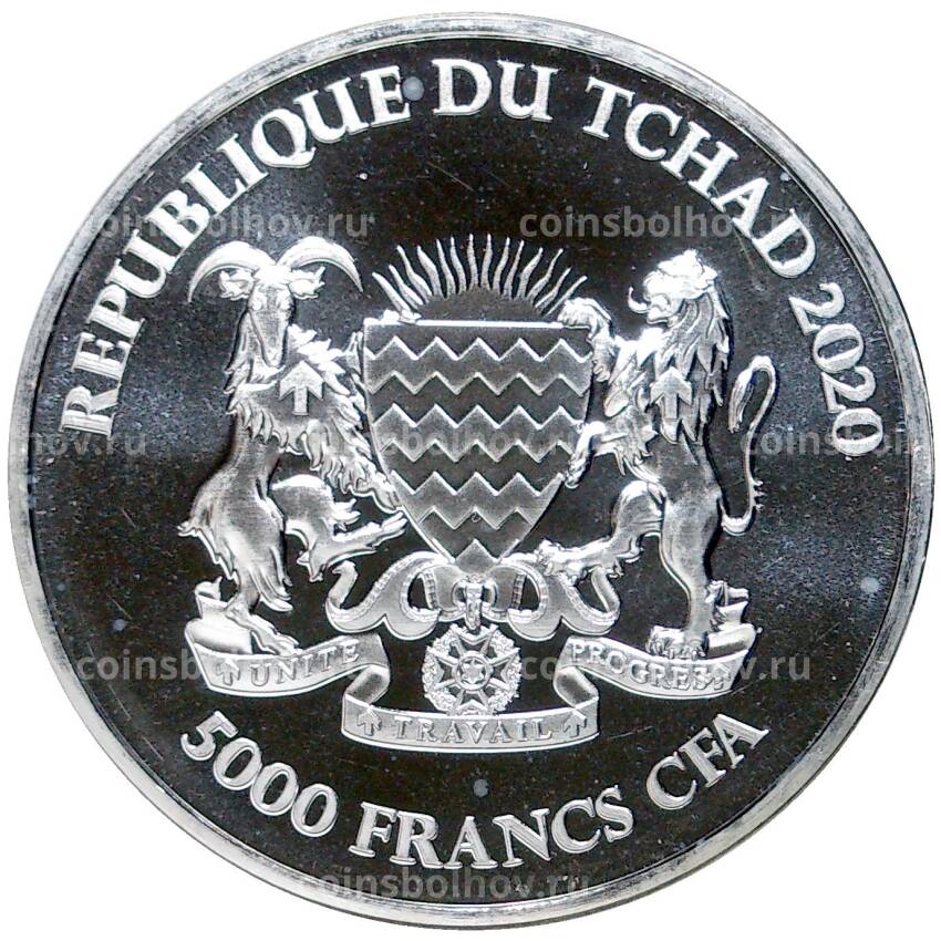 Монета 5000 франков 2020 года Чад  — Мандала — Буйвол (вид 2)