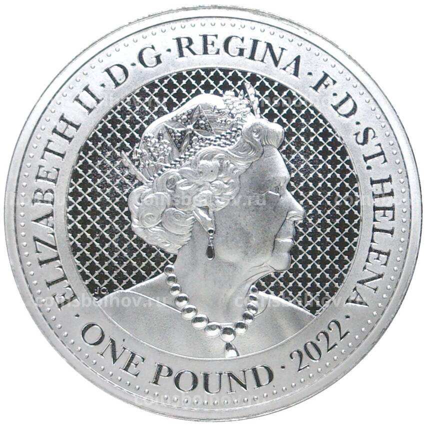 Монета 1 фунт 2022 года Остров Святой Елены Дикая природа Индии — Носорог (вид 2)