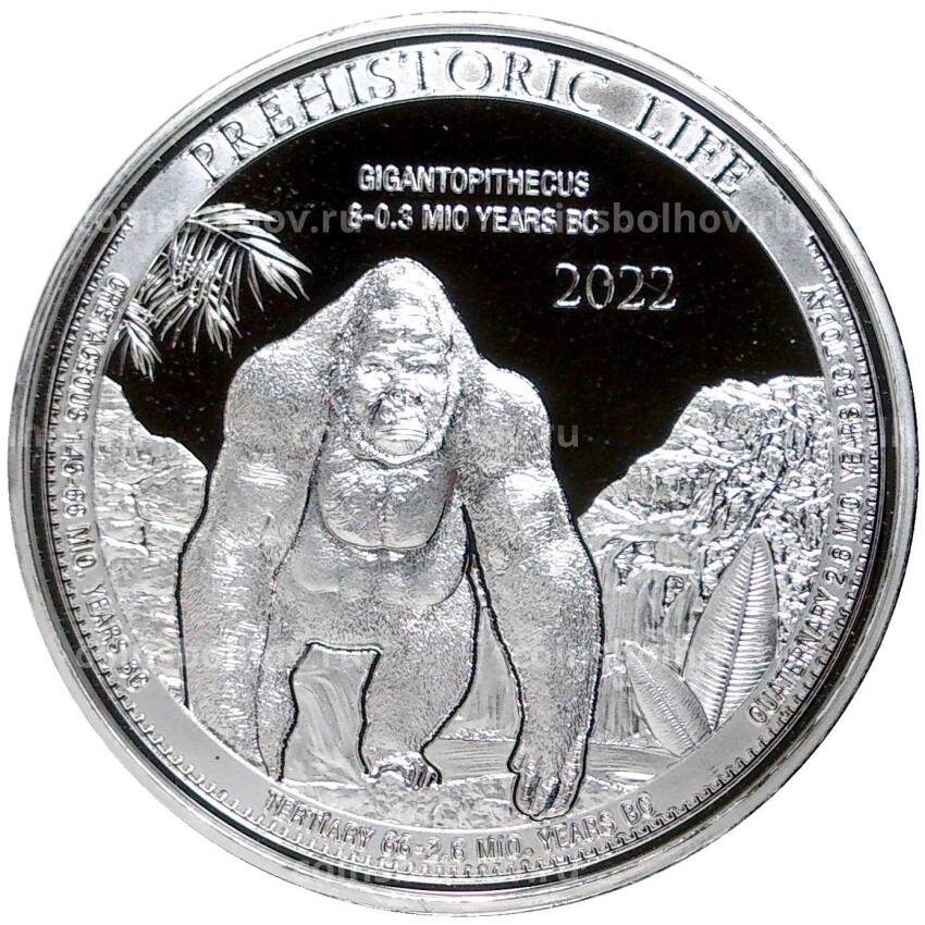 Монета 20 франков 2022 года  Конго —  Доисторическая жизнь — Гигантопитек