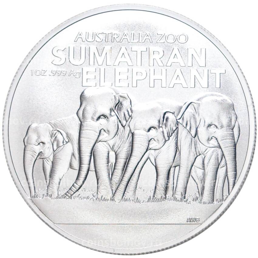 Монета 1 доллар 2022 года Австралия «Австралийский зоопарк — Суматранский слон»