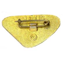 Значок Минск (вид 2)