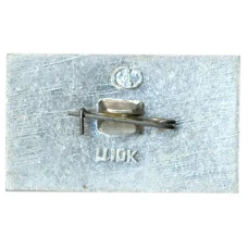 Значок Плес (вид 2)