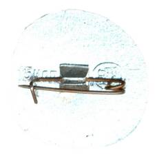 Значок Владимир (вид 2)